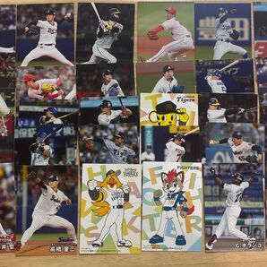2025プロ野球チップス第1弾 プロ野球チップス&侍ジャパンチップス プロ野球チップス 侍ジャパンチップス まとめ売り カードのみ