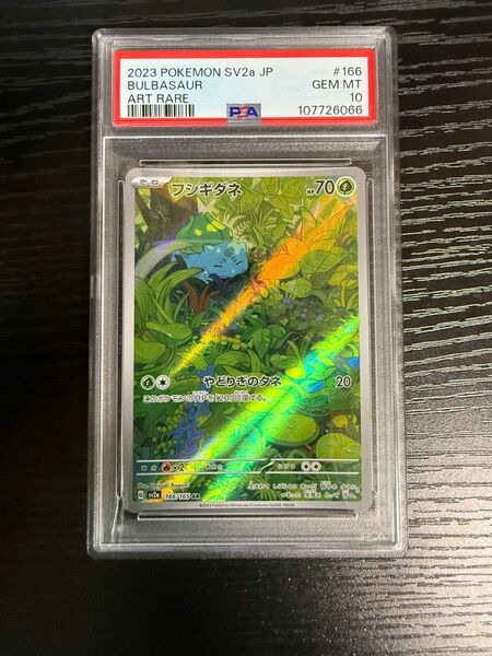 ポケモンカード フシギダネ ar PSA10 ポケカ PSA