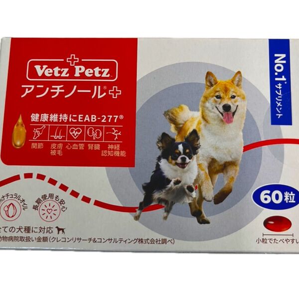 アンチノールプラス60粒入 1箱