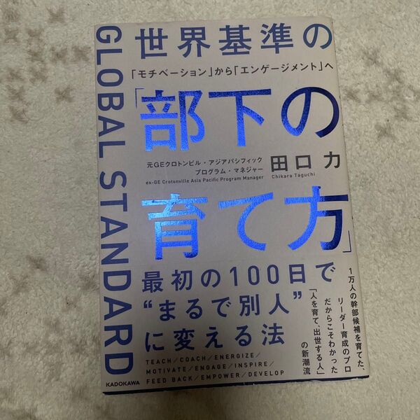 世界基準の「部下の育て方」 「モチベーション」から「エンゲージメント」へ 田口力/著