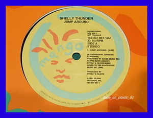 Shelly Thunder / Jump Around/US Original/5点以上で送料無料、10点以上で10%割引!!!/12'