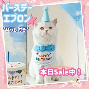 ペットグッズ ハット&エプロンセット バースデーエプロン 誕生日 ブルー