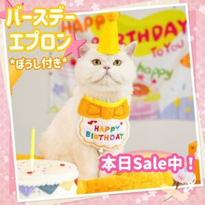 ペットグッズ ハット&エプロンセット バースデーエプロン 誕生日 イエロー