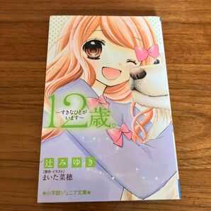 12歳 小説 すきなひとがいます