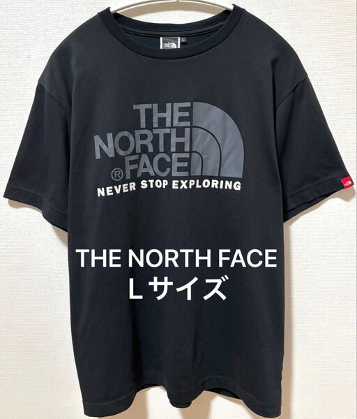 THE NORTH FACE ノースフェイス ビッグブランドロゴTシャツ