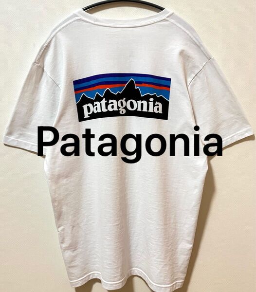Patagonia パタゴニア ビッグブランドロゴTシャツ 両面プリントTシャツ メキシコ製