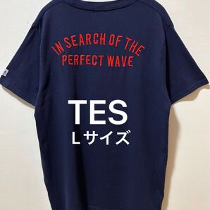 TES The Endless Summer エンドレスサマー 刺繍ロゴTシャツ 背面刺繍 状態良好