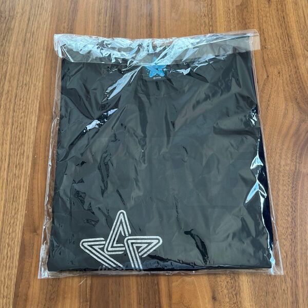 サザンオールスターズ ツアーTシャツLサイズ