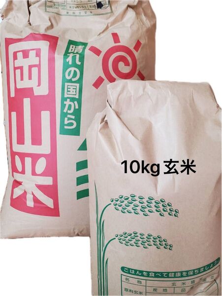 岡山県産 にこまる 玄米 10kg 【数量限定】令和6年度 お米