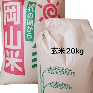 岡山県産 にこまる 玄米 20kg 【数量限定】令和6年度 お米