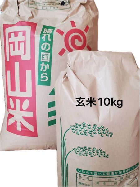 岡山県産 にこまる 玄米 10kg 【数量限定】令和6年度 お米