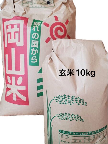 お米 にこまる 玄米 10kg 岡山県産 令和6年度