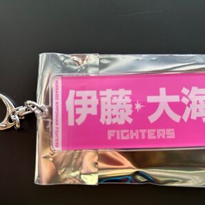 日本ハムファイターズ 伊藤大海