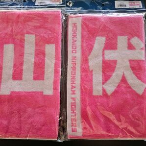 日本ハムファイターズ 伏見寅威 山﨑福也