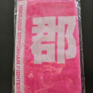 日本ハムファイターズ 郡司裕也