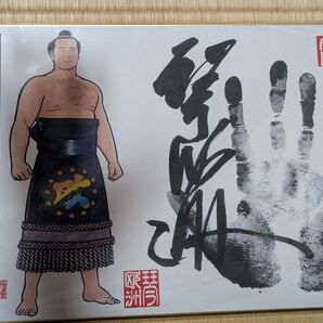 琴欧洲 直筆サイン入り手形色紙
