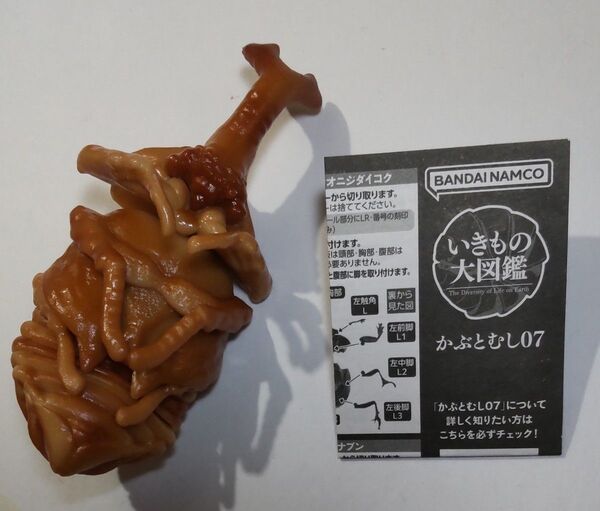 いきもの大図鑑 かぶとむし07 ヤマトカブトムシ(蛹) サナギ ガチャ 未組立