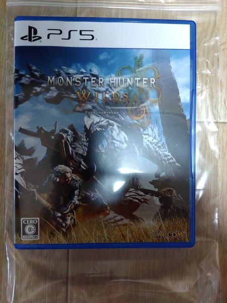 モンスターハンターワイルズ PS5