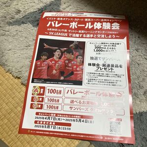 サントリーサンバーズ バレーボール体験会 フライヤー