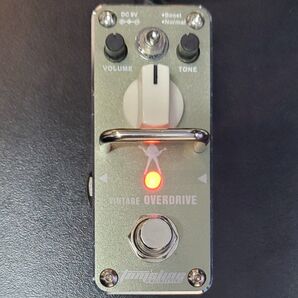 Tom's line Michael Angelo signature Vintage Overdrive