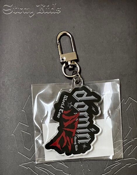 straykids スキズ dominATE ポップアップ 会場限定カスタムキーホルダー ロゴB ワークショップ