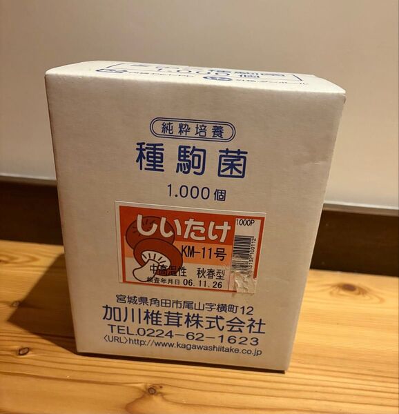 しいたけ種駒菌 1000個 椎茸