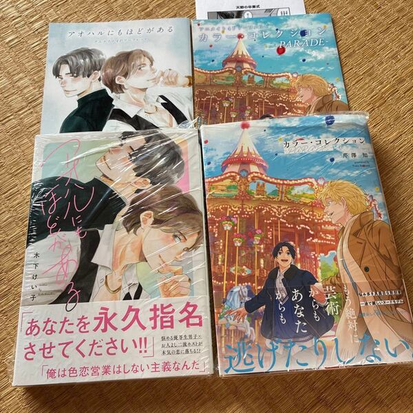 アオハルにもほどがある カラー・コレクション parade アニメイト特典リーフレット付き 2冊セット