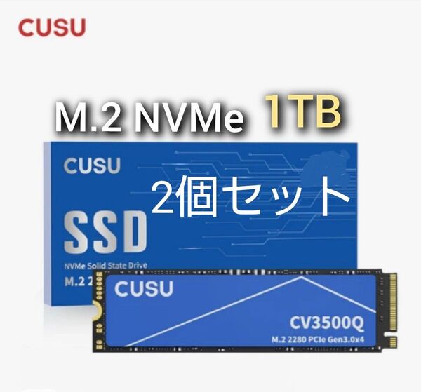 SSD 1TB CUSU CV3500Q M.2 NVMe PCIe3.0 x4 新品未使用 2個セット