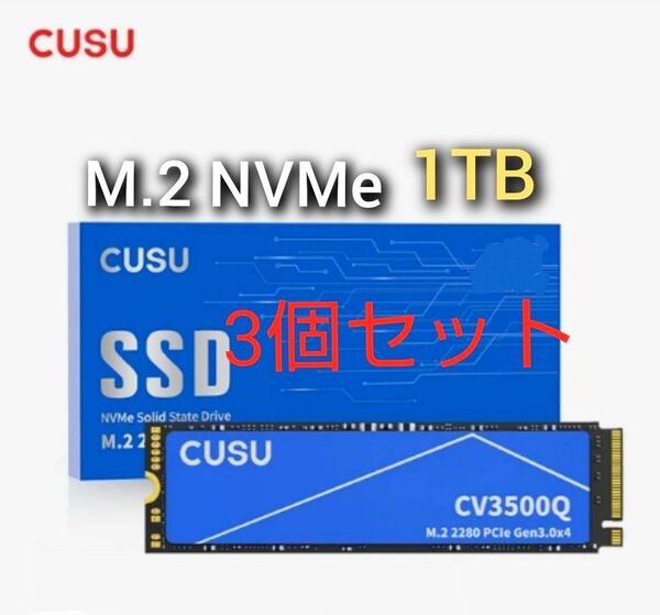 SSD 1TB CUSU CV3500Q M.2 NVMe PCIe3.0 x4 新品未使用 3個セット