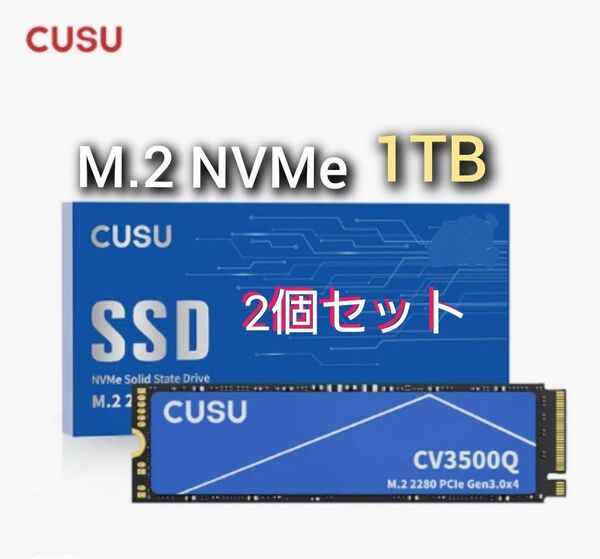 SSD 1TB CUSU CV3500Q M.2 NVMe PCIe3.0 x4 新品未使用 2個セット