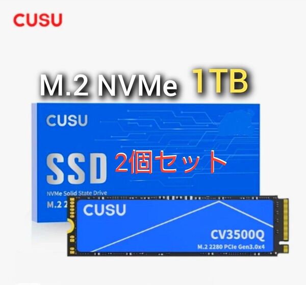 SSD 1TB CUSU CV3500Q M.2 NVMe PCIe3.0 x4 新品未使用 2個セット