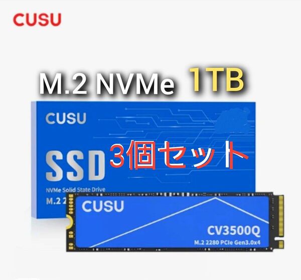 SSD 1TB CUSU CV3500Q M.2 NVMe PCIe3.0 x4 新品未使用 3個セット