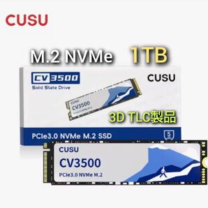 SSD 1TB CUSU CV3500 M.2 NVMe PCIe3.0 x4 高信頼高耐久TLCバージョン 新品未使用