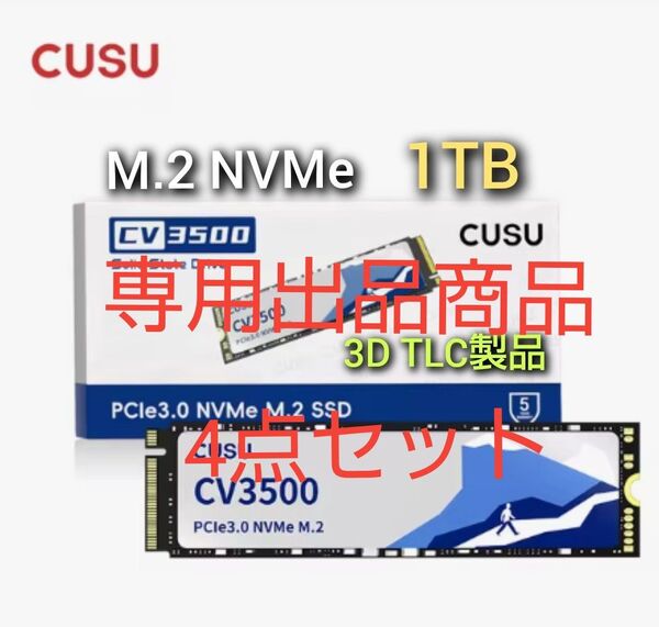 SSD 1TB CUSU CV3500 M.2 NVMe PCIe3.0 x4他4点