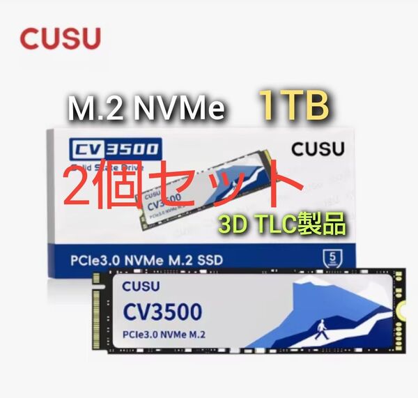 SSD 1TB CUSU CV3500 M.2 NVMe PCIe3.0 x4 高信頼高耐久TLCバージョン 2個セット