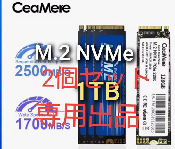 1TB SSD M.2 NVMe PCIe3.0 x4 2個セット