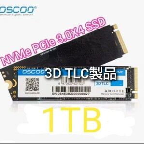 SSD 1TB OSCOO ON900 M.2 NVMe PCIe3.0 x4 新品未使用