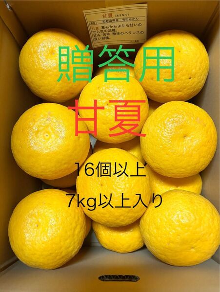贈答用 甘夏 16個以上 7kg以上 和歌山県有田みかん