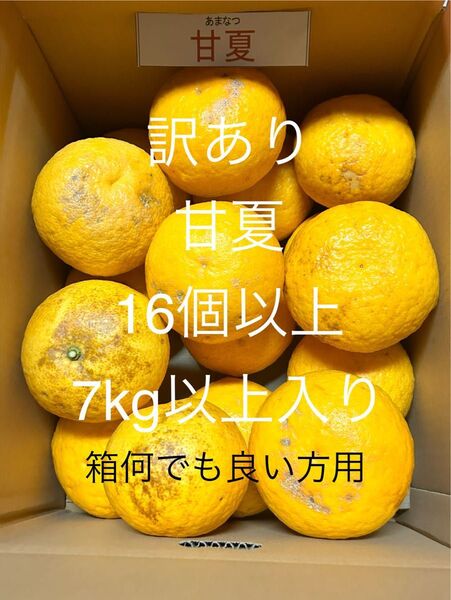 訳あり 甘夏 16個以上 7kg以上 箱何でも良い方 和歌山県有田産 みかんの産地 有田の甘夏