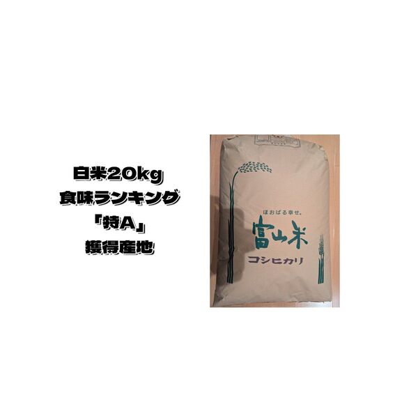 6年産コシヒカリ白米 20キロ