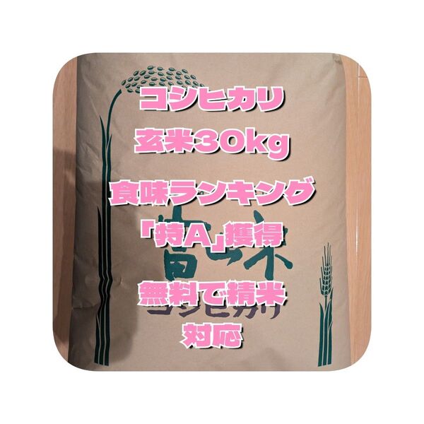 17時まで当日発送可 コシヒカリ30kg玄米 検査済1等 食味「特A」獲得(商品そのもの評価ではありません) 発送日無料精米可
