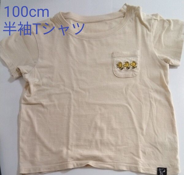 キッズ 半袖Tシャツ (UNIQLO) 100cm