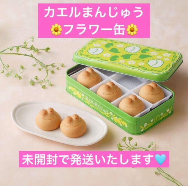 未開封【カエルまんじゅう フラワー缶 こしあん 青柳】