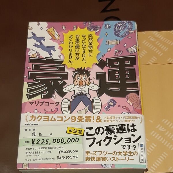 豪運 突然金持ちになったんですけど、お金の使い方がよくわかりません。 マリブコーク/著