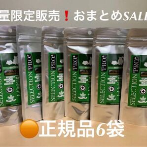 《PayPayフリマ限定SALE !》セレクションプロ乳酸菌サプリトリーツ正規品6袋