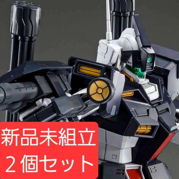 新品未組立2個セット MG 1/100 ジム・ドミナンス(フィリップ・ヒューズ機