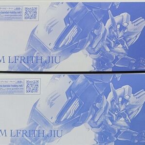 新品未組立2個セット HG 1/144 ガンダムルブリスジウ 機動戦士ガンダム 水星の魔女 ヴァナディースハート