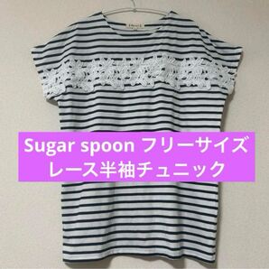 フリーサイズ Sugar spoon レース半袖チュニック ボーダー