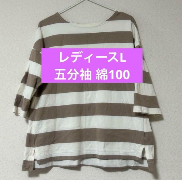 レディースL ボーダー五分袖カットソー 綿100