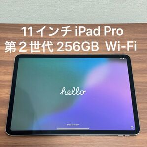 11インチ iPad Pro (第2世代) 256GB Wi-Fi